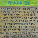 장흥 편백숲 우드랜드(5) 이미지