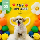 털로 덮인 친구들 인천검단점 네이버블로그