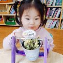 솔밭왓앤와이유치원 이미지