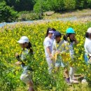 부귀초등학교 이미지