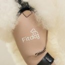 다리핏헬스케어