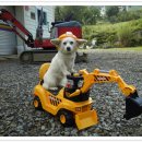 스타농장 이미지