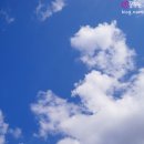 아라타워 이미지