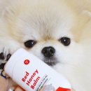 강아지발바닥 이미지