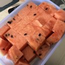 (주)유니서브 | [임신 29-30주차 일기] 산후도우미 업체 예약/ 백일해 접종/ 30주 만삭촬영🤰/ 구정 기념 만삭 서울...