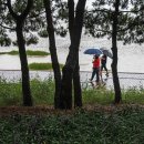 자연송림 이미지