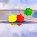 비와 우산(이미지 모음) 이미지