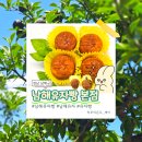 진솔농장 | [남해 여행] 남해 여행 기념품 디저트 추천, 남해유자빵 본점 메뉴 주차 맛 솔직 후기