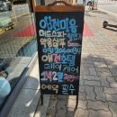 도그플러스 애견미용 이미지