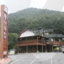 닭갈비춘천막국수