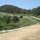 상당산성 이미지