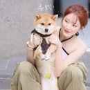 멍슈 이미지
