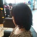 마젤헤어 이미지