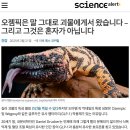 제일가축병원 | [마운자로의 공공연한 비밀] 37만 명이 열광한 다이어트 주사, 급성 췌장염 위마비증 부작용 경고
