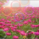 의성조문국사적지 이미지