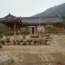 순천만 숲3 이미지