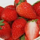 철이 GYM 이미지