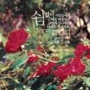 자연에마음