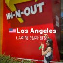 LA신혼여행 3일차-미국렌트카 주의사항/인앤아웃/게티센터/UCLA