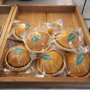 천지자연마을 | [남해] 가볼만한곳 상주 파라다랑스 사계절 꽃천지 애견동반 가능