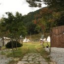 #별이 빛나는 밤이 좋은 가평글램핑 펜션같은 67빌리지 가을여행