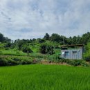 서정2리마을회관 이미지