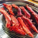 또고기 이미지