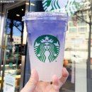 스프링가든 이미지