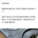 카페탬퍼