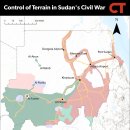 아프리카 파일, 2025년 4월 10일: RSF의 북수단 캠페인 이미지