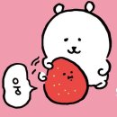 하얀언니 이미지