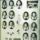 안의중학교 이미지