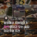 시바술집 | 합정 술집 2차추천 | 시바견 있는 야끼니꾸 이자카야 내돈내산 후기