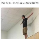 당일치기 강릉여행