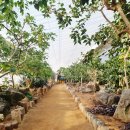 <흙 속의 숨결> 이미지