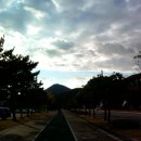 진남체육공원 실내체육관 이미지