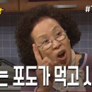 선명 Daum카페