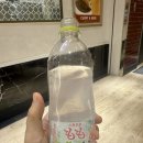 인생여행 | 일본 오사카 인생 첫 여행 후기