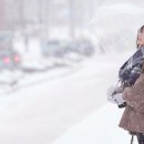 팔도농장 | 삿포로 비에이렌트카 클룩렌트카 비교 할인쿠폰 모음집 추천 후기