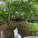 솔바람야영장 | 전남 곡성 “청계동솔바람야영장” / 여름철 계곡 물놀이 캠핑장 최고 !! (20번 사이트)