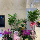 25시스크린골프 이미지