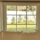 스테이 띠앗 이미지