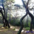 신성부분정비 | [시간과 건축 - 07] 경주 남산 건축문화답사 (삼릉 ~ 용장사지) - 1 (2025.09.26.)