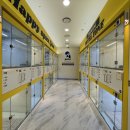 옐레드 애견유치원&애견호텔 대구신월성점 이미지