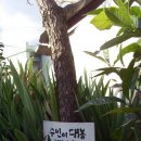 엄마의 마음 이미지