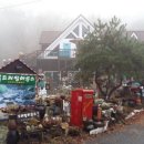 드리밍하우스 이미지