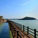 지니비치향 이미지