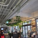 보문호반오리 불국사점 이미지