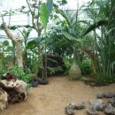 청양고추문화마을 이미지