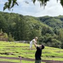 휘바핀란드위드플레이정글 이미지